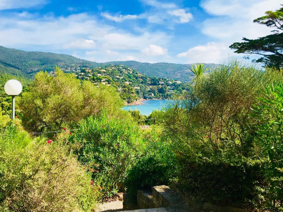 Mazet « Domaine De La Pinede » Lejlighed Le Lavandou Eksteriør billede