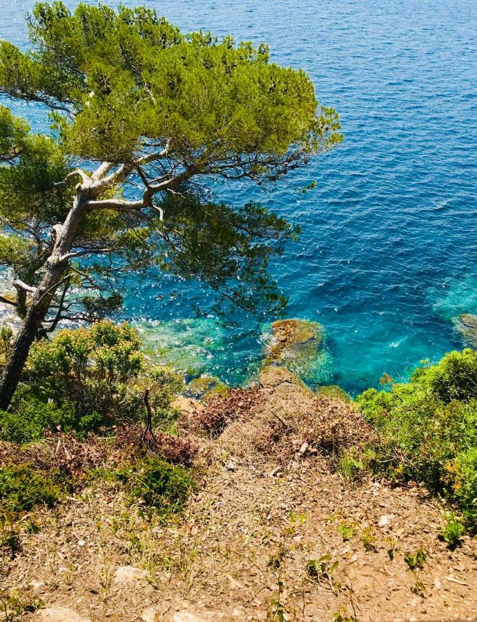 Mazet « Domaine De La Pinede » Lejlighed Le Lavandou Eksteriør billede
